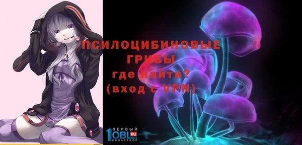 mdma Медвежьегорск